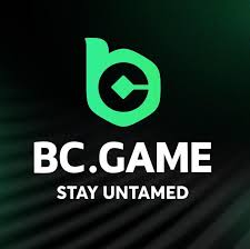 Exploring the Exciting World of the BC.Game RO Online Platform
