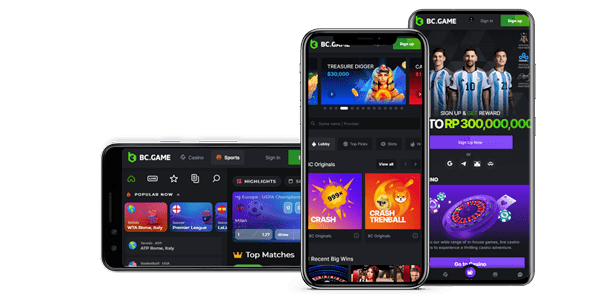 Exploring the Online Gaming Landscape Pakistan BC.GAME
