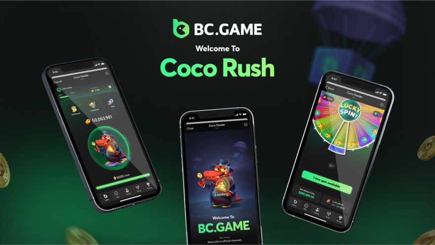 Exploring the Online Gaming Landscape Pakistan BC.GAME