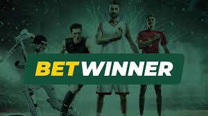 Discover BetWinner Sportsbook Your Ultimate Betting Destination