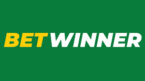 Discover BetWinner Sportsbook Your Ultimate Betting Destination